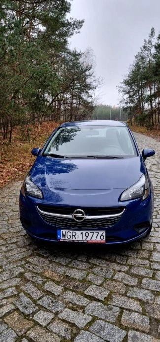 Opel Corsa cena 39999 przebieg: 90000, rok produkcji 2019 z Kluczbork małe 232